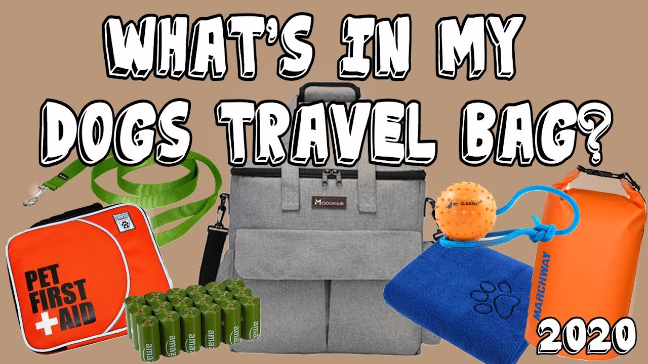 What's in My Dog's Travel Bag for the Car - Updated 2020