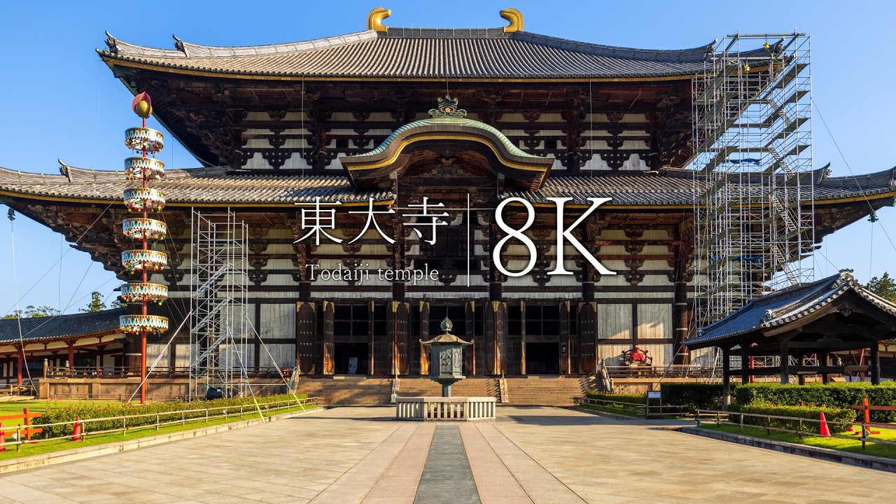 【まるで神話の世界】東大寺と春日大社を訪ねて - JAPAN in 8K