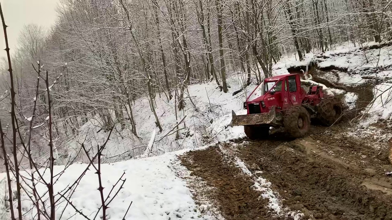 TAF 690 MAN tazba dreva