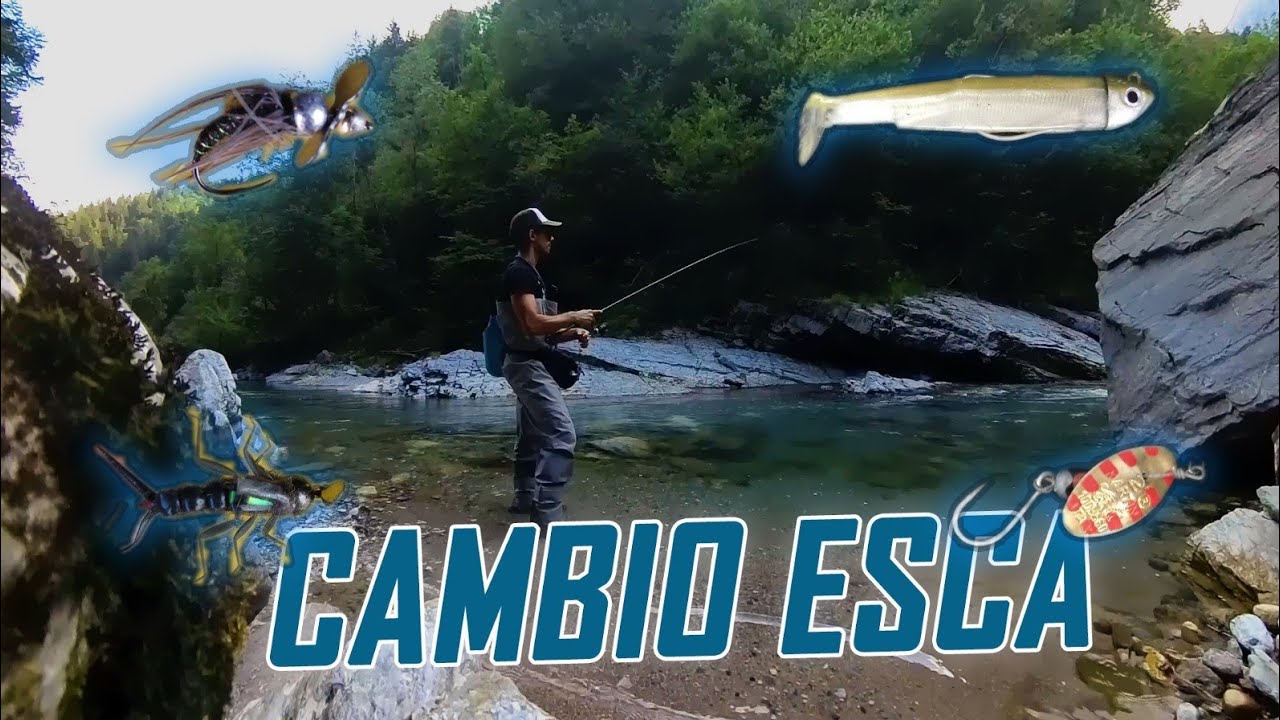 OGNI CATTURA CAMBIO ESCA - Spinning alla trota fario in torrente