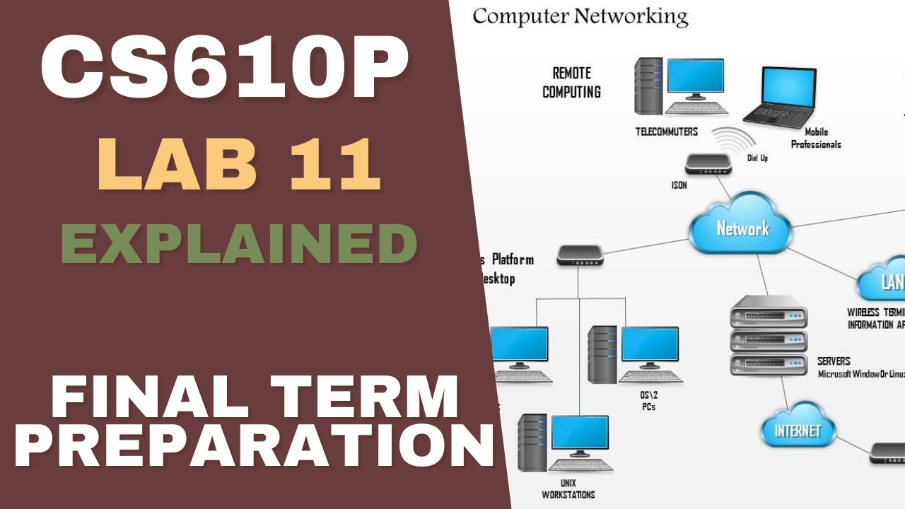 cs610p final term preparation | cs610p lab 11