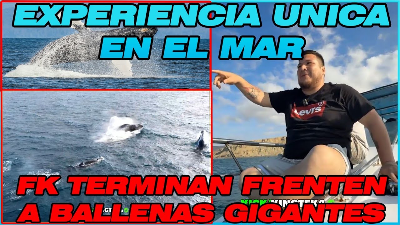 😱🌊INCREÍBLE EXPERIENCIA EN EL MAR💥FK SE SUBE A UN BARCO Y TERMINA FRENTE A BALLENAS !🐋😳