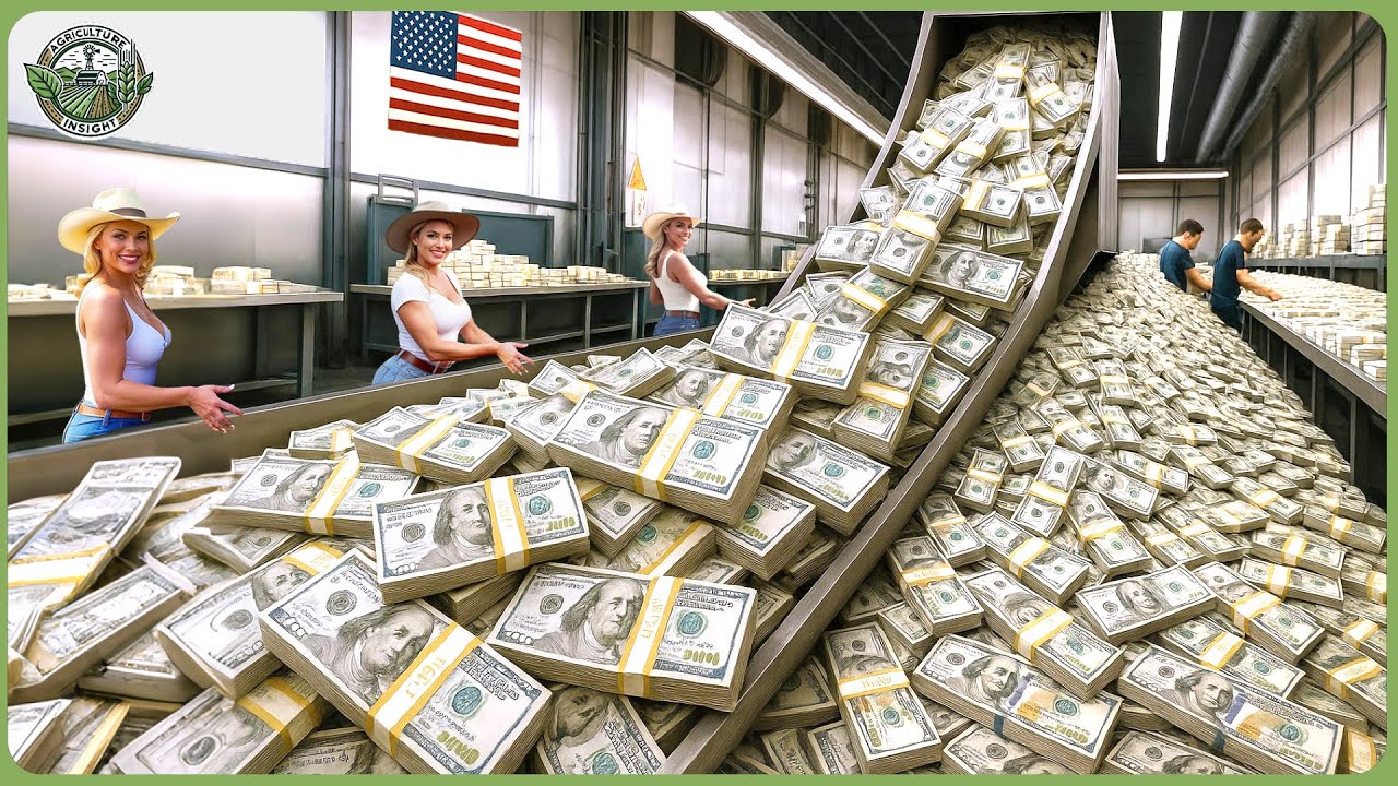 How Money Is Made &ndash; Inside Modern U.S  Factory Printing Billion Dollars Daily