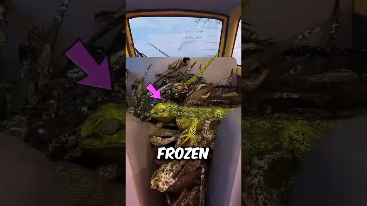 These are the Strangest Frozen Animal Stories Ever 😱