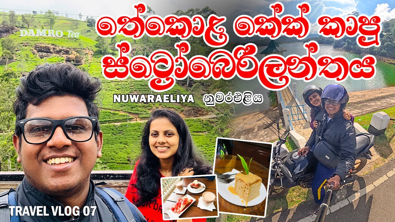 තේ කොළ කේක් කාපු  ස්ට්‍රෝබෙරිලන්තය 🍃😜 | Jagro Cafe | Labookellie Tea Lounge | Travel Vlog 07 | SL
