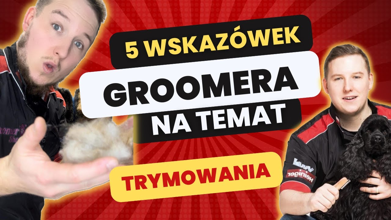 Trymowanie psa : Jak sobie z tym poradzić Groomer Radzi