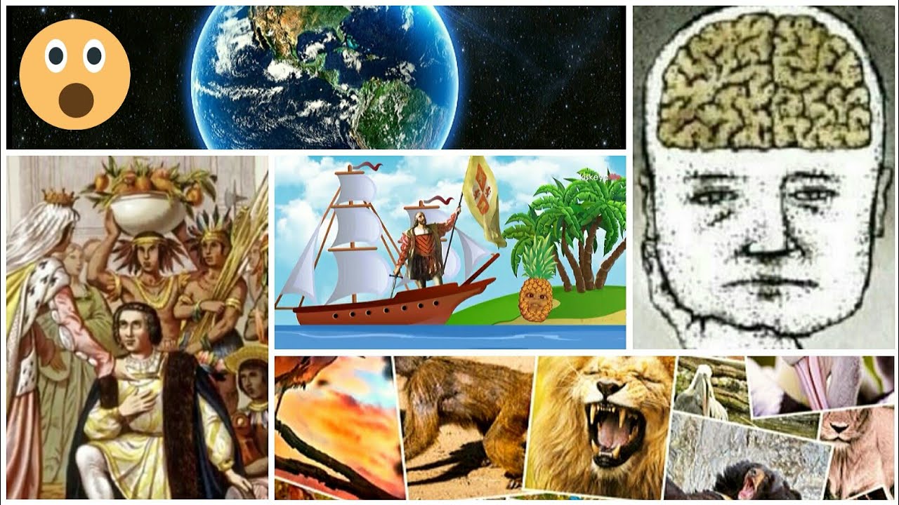 12 Datos Curiosos e Interesantes que no vas a poder creer!😮😲