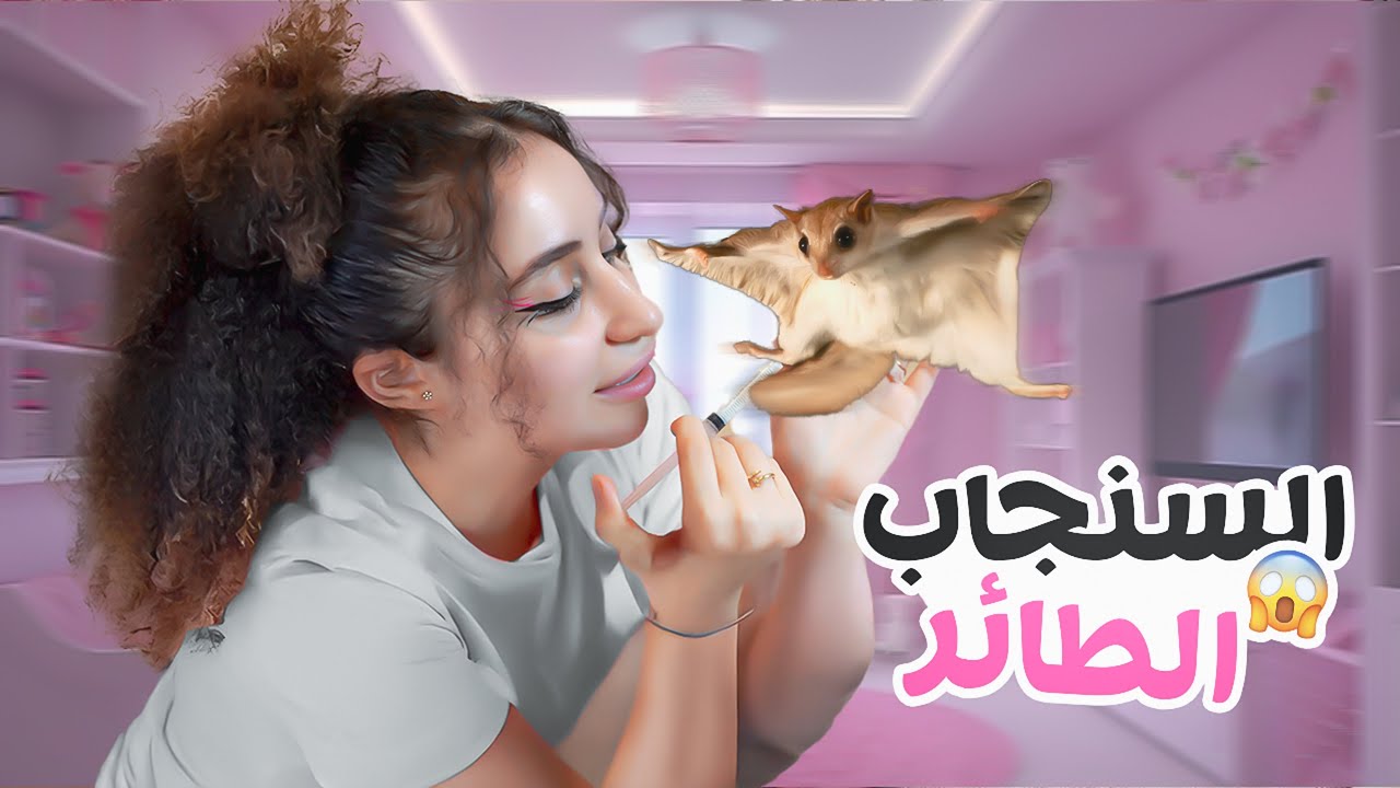 حيوان غريب عملتلو بيت 😆