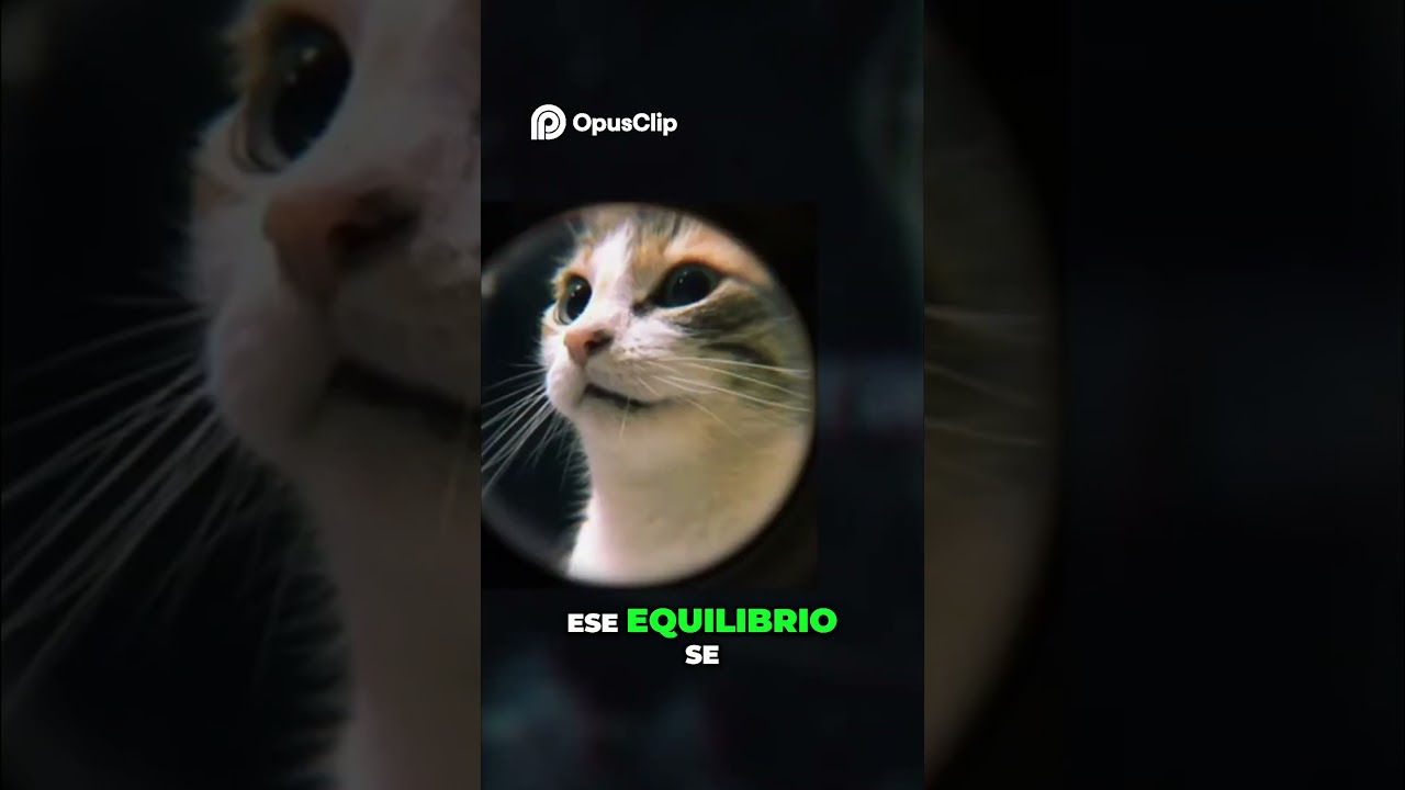 El Propósito de la Fuerza  Equilibrio Cósmico y Tikun Olam