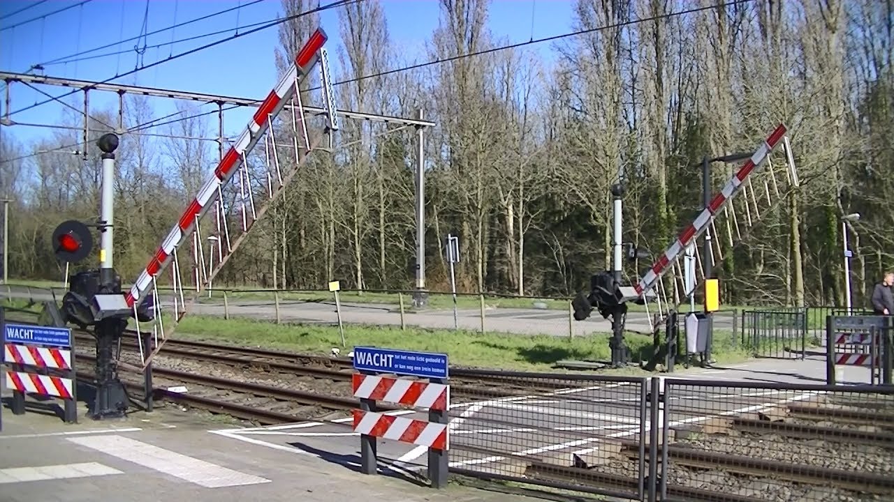 Spoorwegovergang Wijhe // Dutch railroad crossing