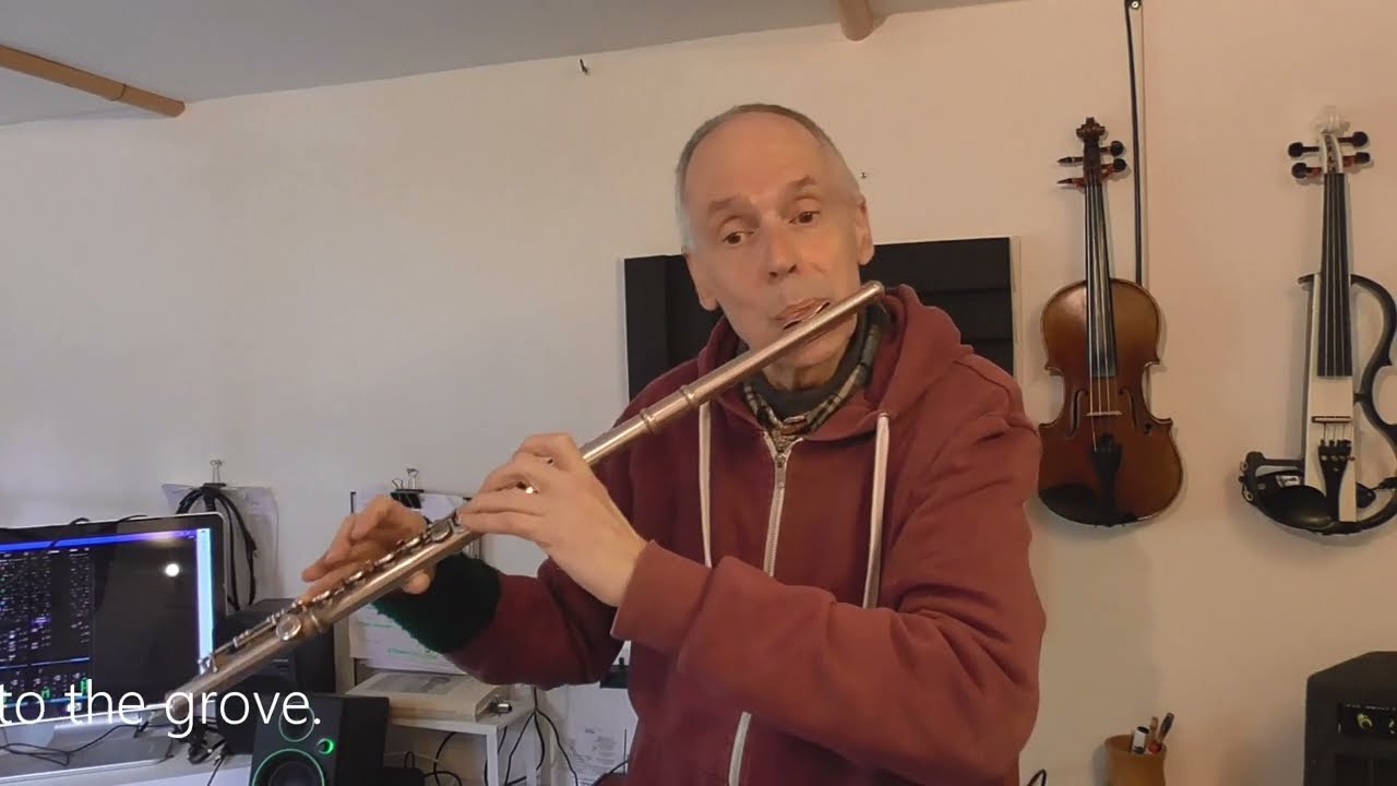 Ukrainian folk song | A moonlight night | Appeal for Ukraine | see description to make donation