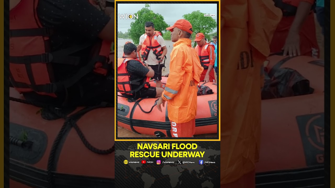 NDRF Rescues 67 People From Floodwaters In Navsari | WION Shorts