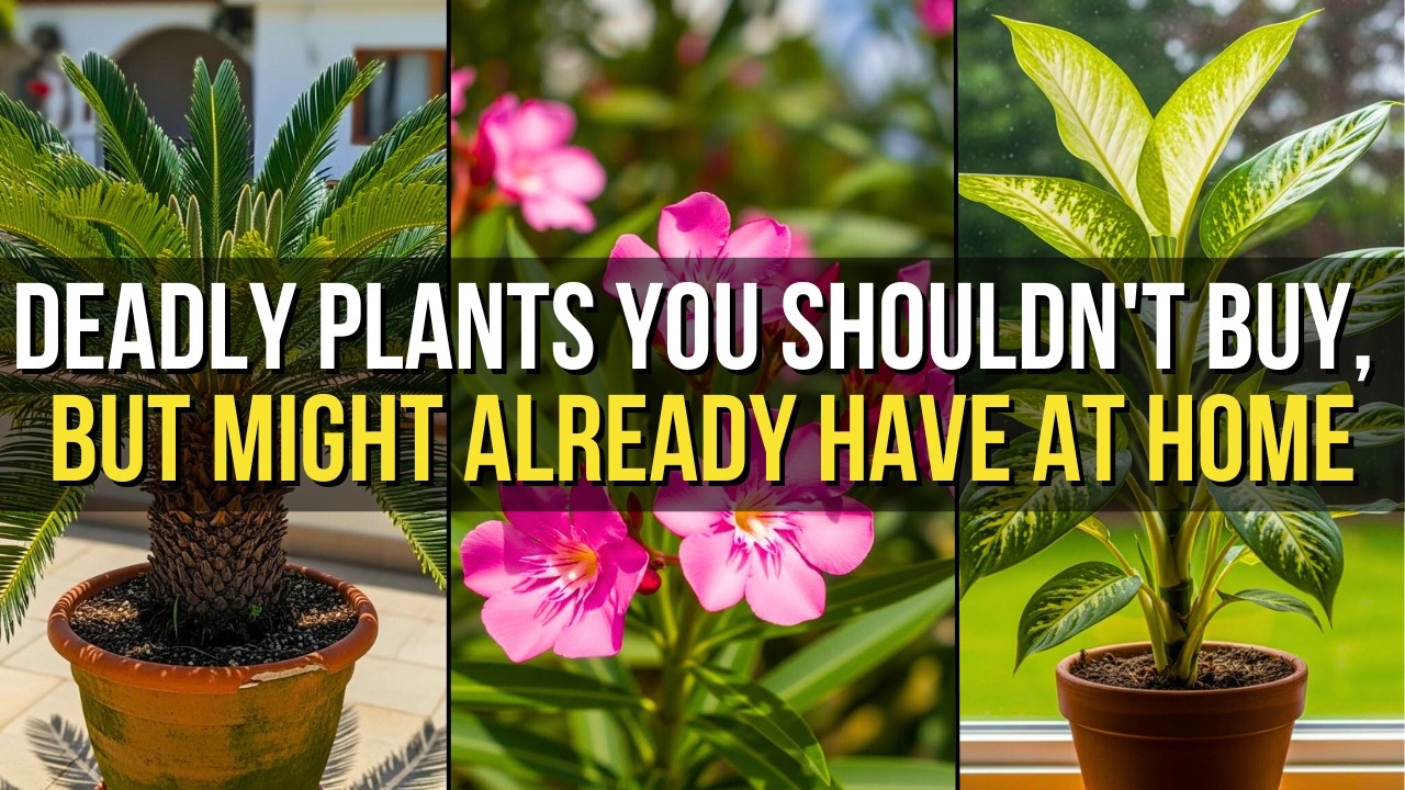 5 Plants You Should Never Have at Home