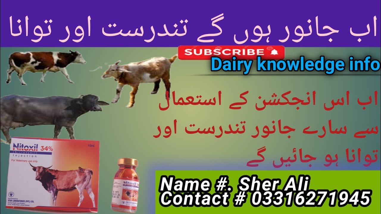 Nitoxil injection uses liver fluke chronic diarrhea