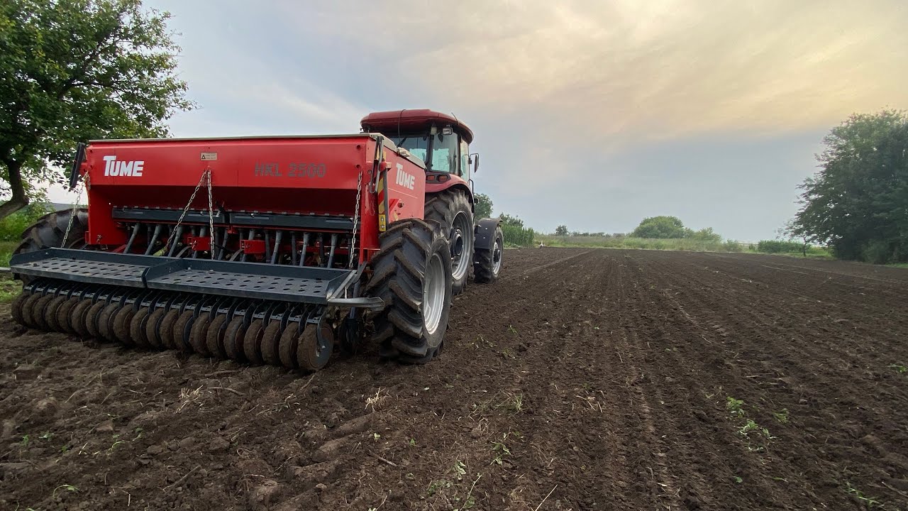 Посів сидератів #дайкон +NITROFIT. Case Farmall+TUME HKL#saat
