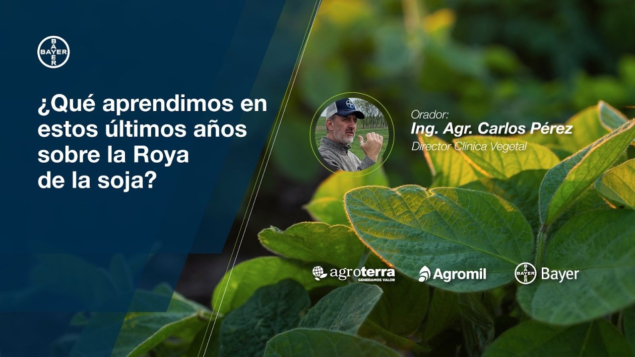 ¿Qué aprendimos en estos últimos años sobre la Roya de la soja?