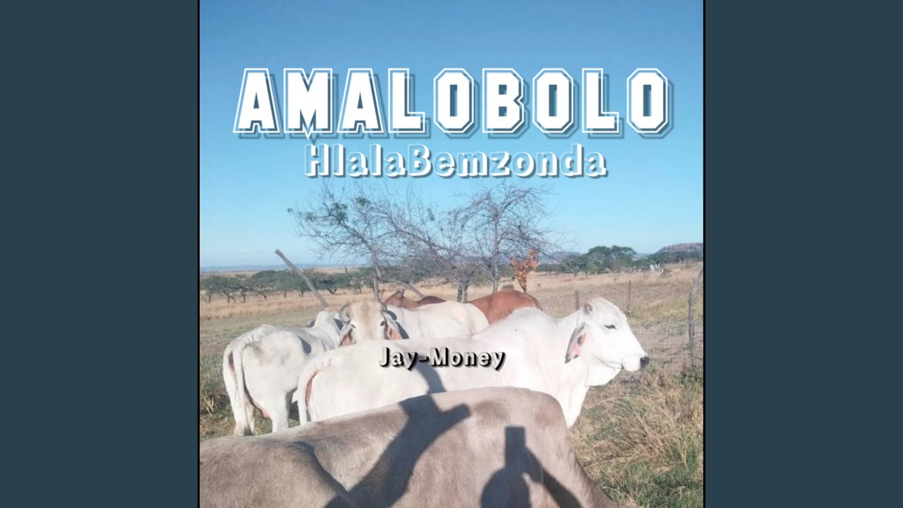 Amalobolo