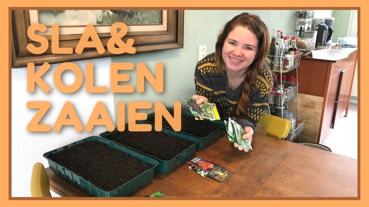 Sla & Kolen ZAAIEN | EXTRA Vensterbank ruimte HOE?!