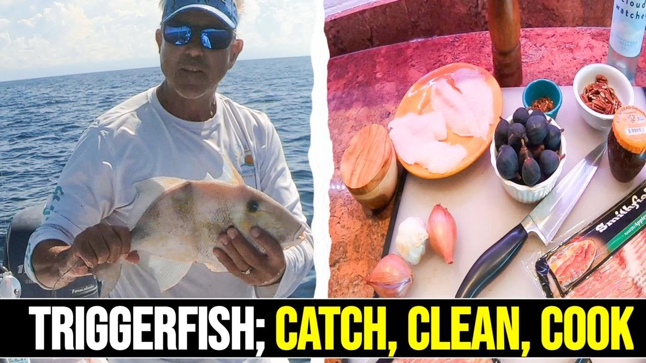 Triggerfish Catch Clean Cook | THE BEST TRIGGERFISH YOU WILL EAT!