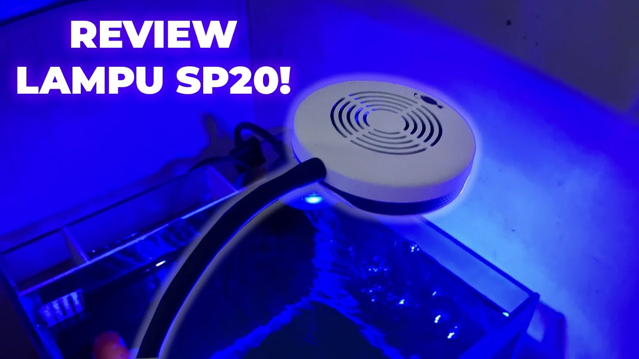 SP20 !! REVIEW LENGKAP LAMPU SP20!! Lampu untuk aquarium laut MURAH