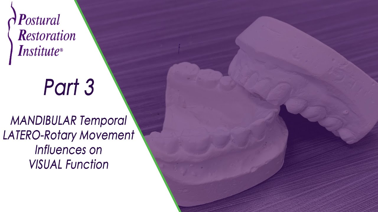 Mandibular Temporal Latero–Rotary Movement Influences - Part
