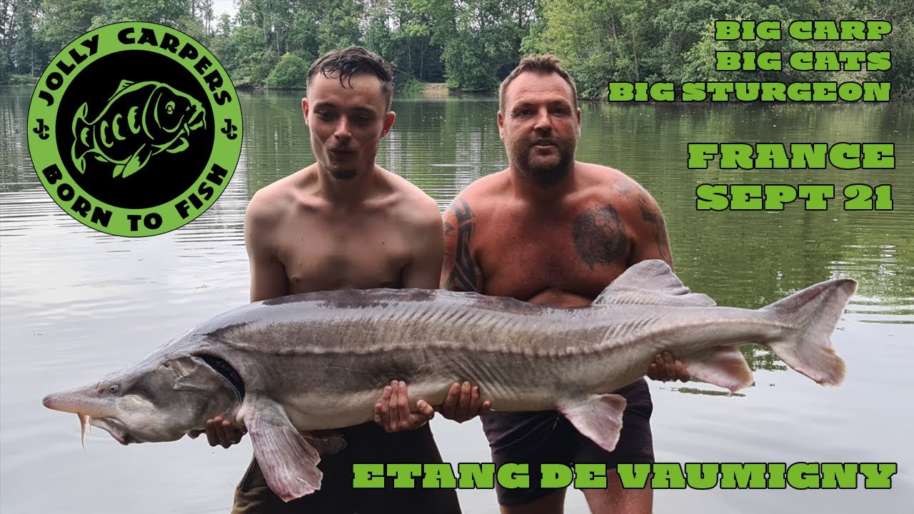 Etang de Vaumigny France Jollycarpers social Sept 2021 Carp, Cats and big Sturgeons up to 100 Lb