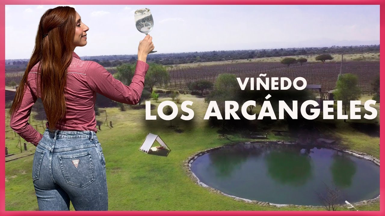 Vi&ntilde;edo LOS ARCANGELES / Ale Toledano