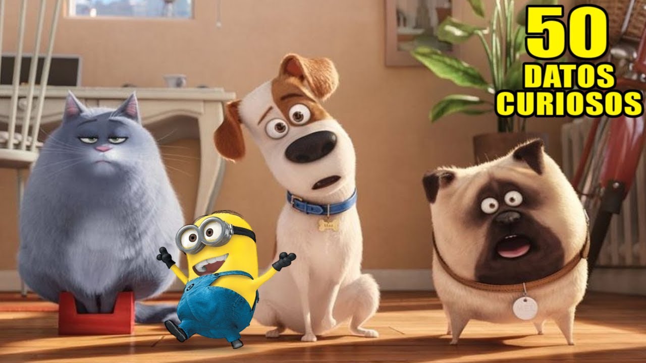 50 CURIOSIDADES de LA VIDA SECRETA DE TUS MASCOTAS que POCOS CONOCEN