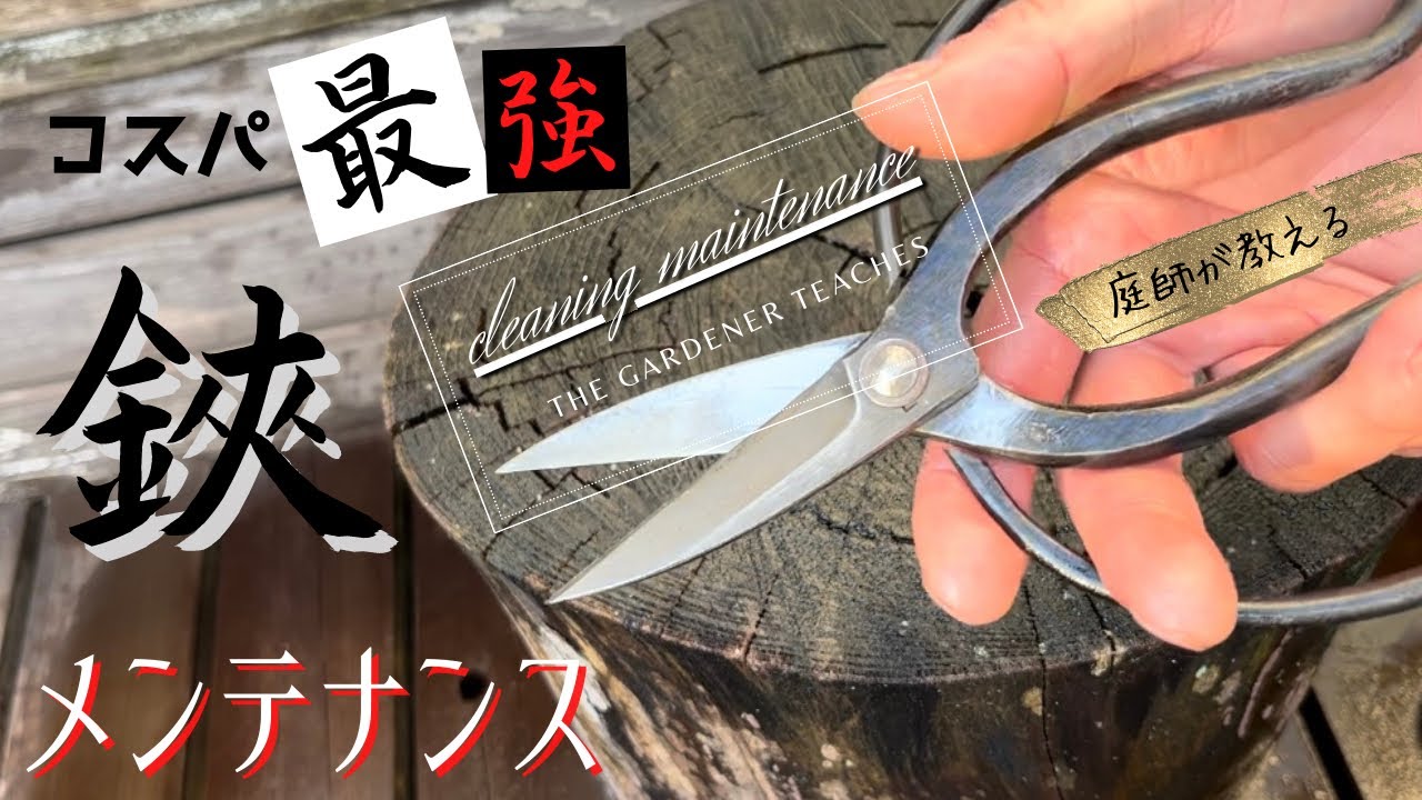 【剪定鋏】【植木鋏】100均の道具でお手軽メンテナンス〜それでも綺麗になっちゃいます！〜