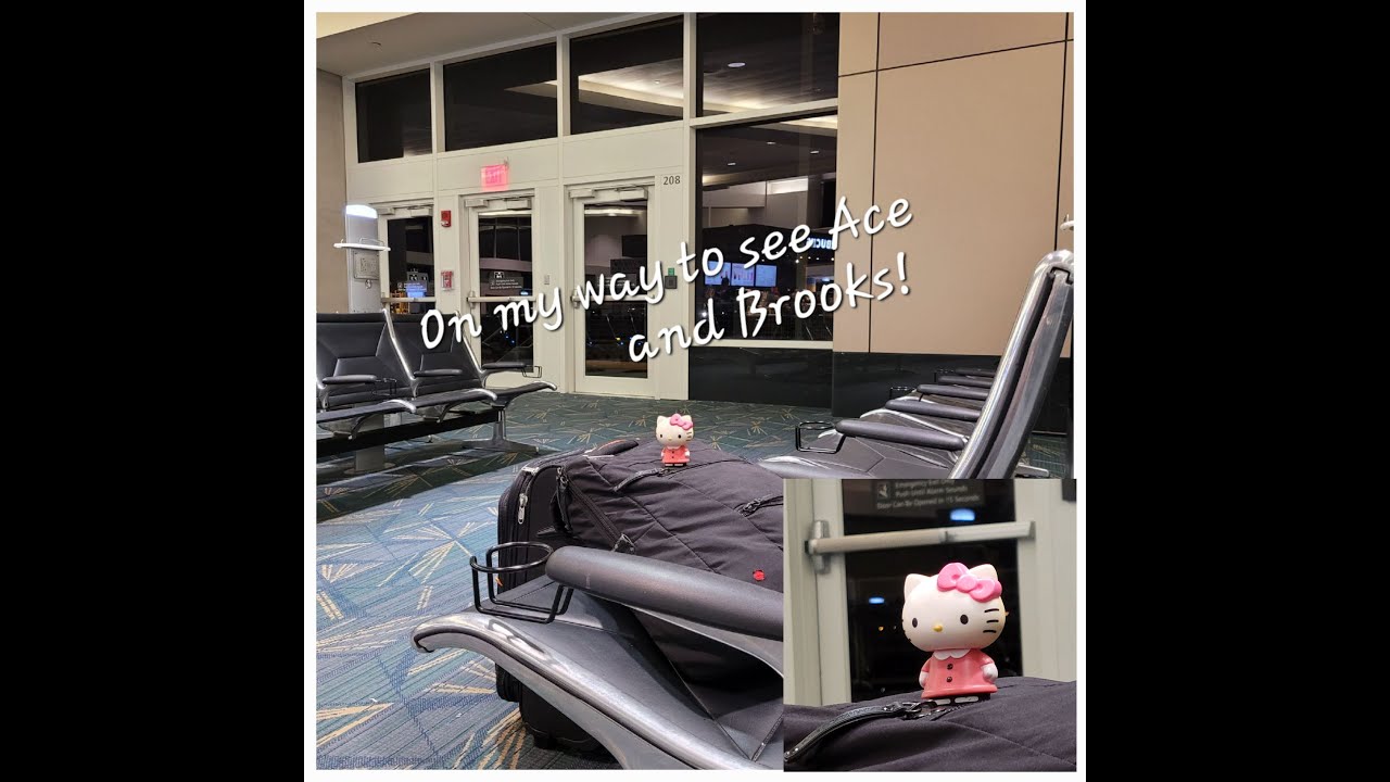 Travel Kitty's KY visit
