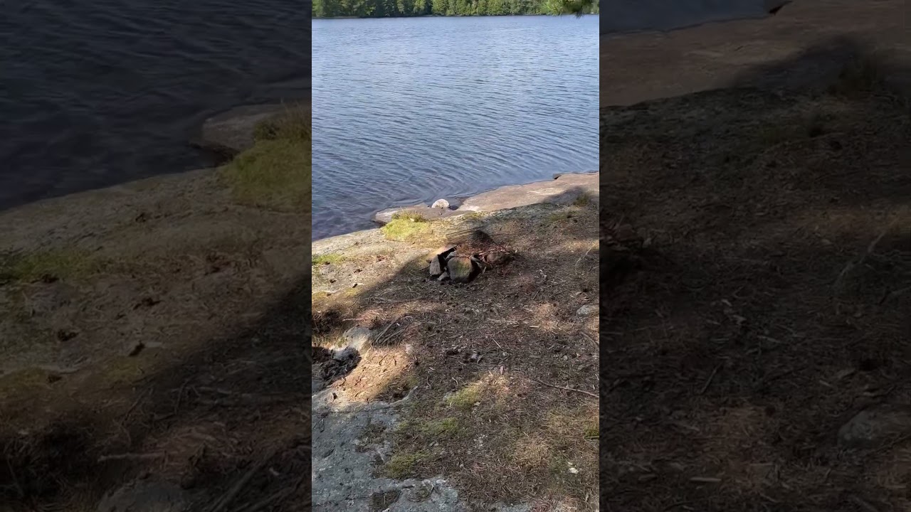 LISTERSJÖARNA (del 3) - udden mot maderna - augusti 2024 - RONNEBY 