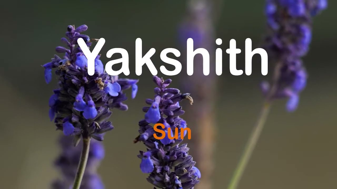 Catchy Names for Boy Baby Starts With Letter Y