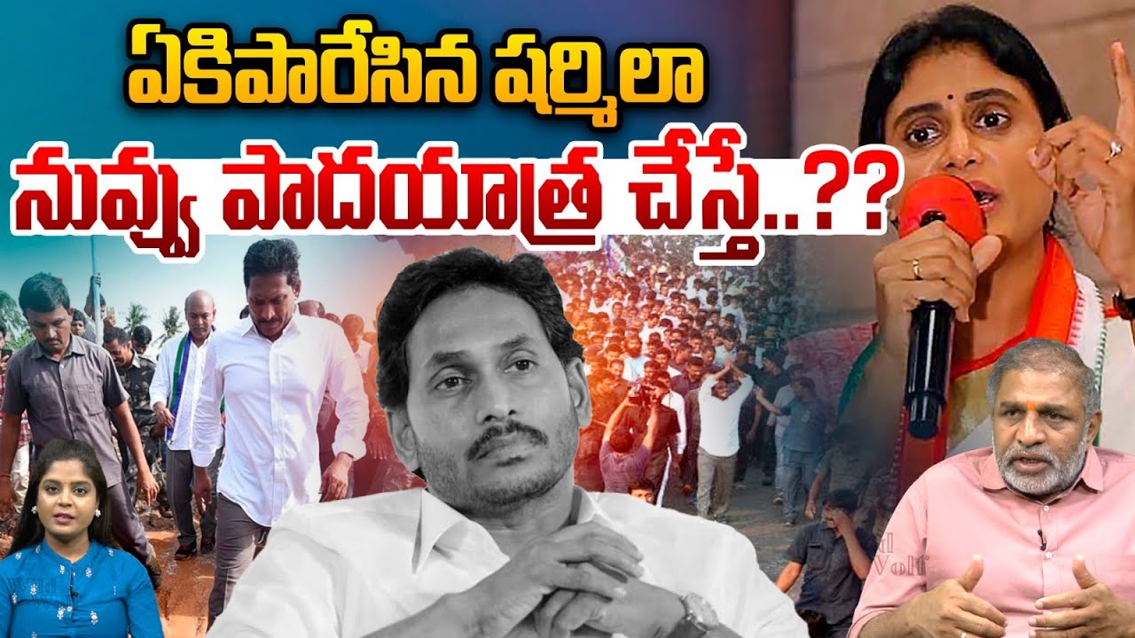 YS Sharmila Stunning Counter To YS Jagan : ఏకిపారేసిన షర్మిలా..నువ్వు పాదయాత్ర చేస్తే? | Breaking