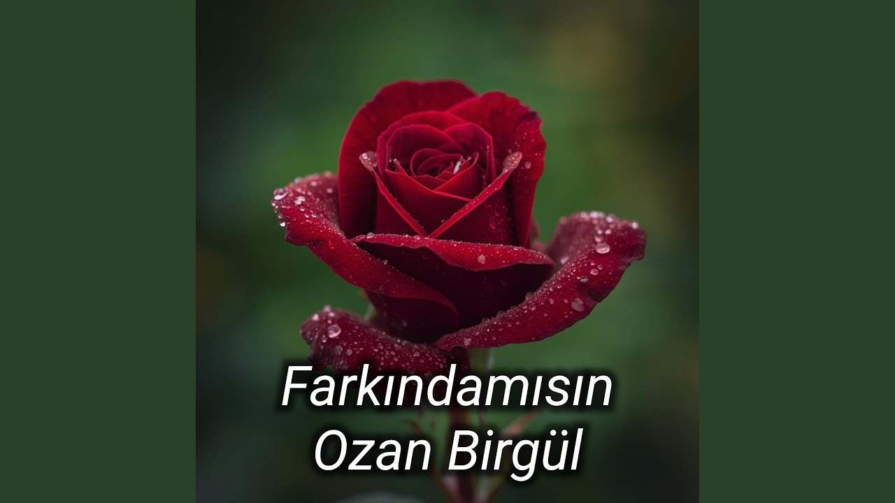 Farkındamısın