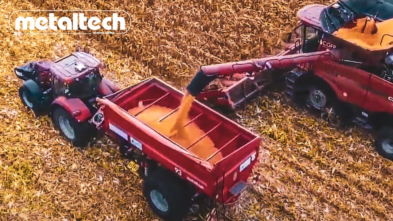 W&oacute;z przeładowczy Metaltech PP 14 podczas żniw w CGFP