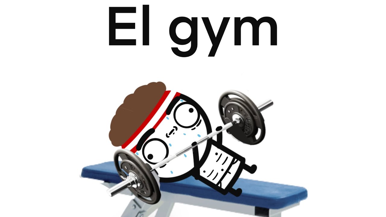 El gimnasio