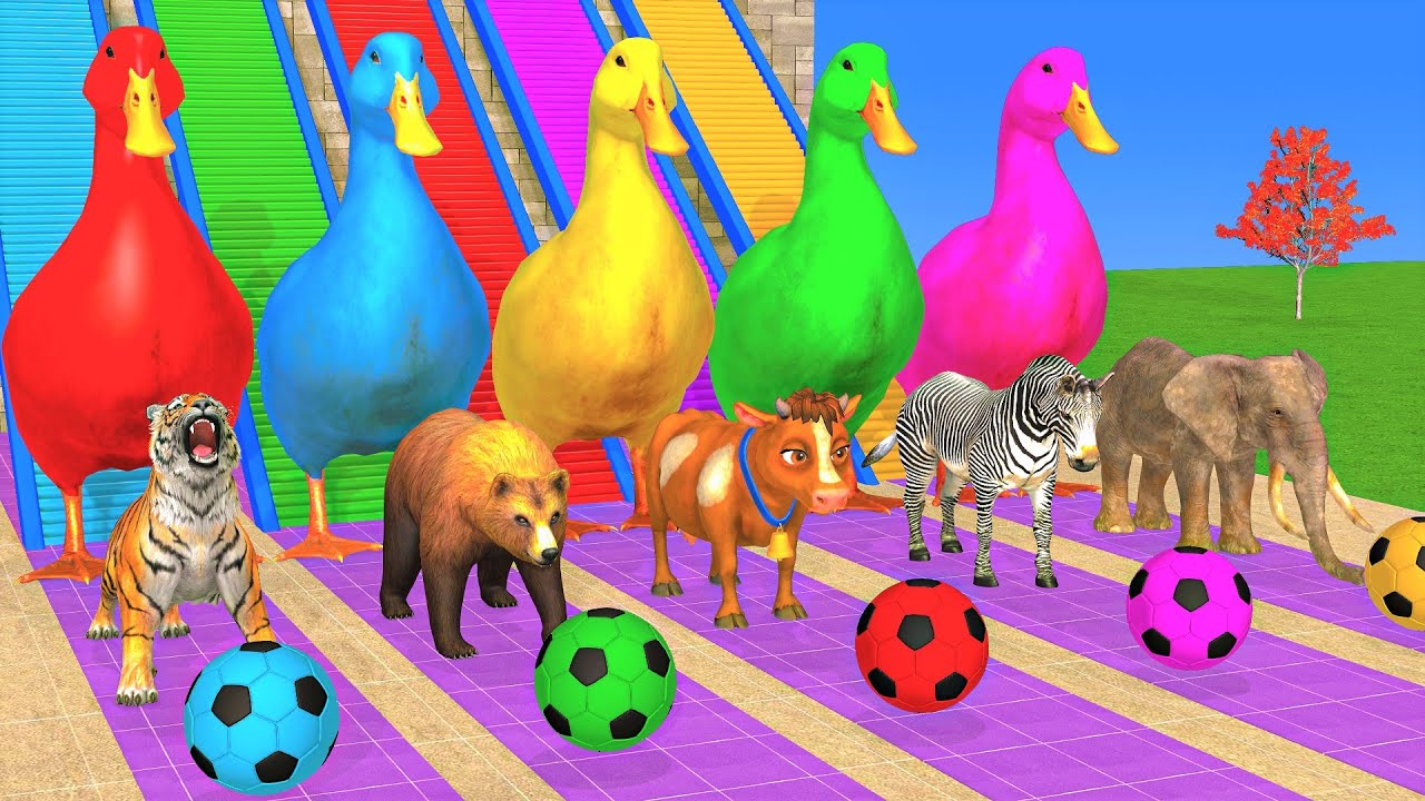 Long Slide Game With Cow Elephant Gorilla Hippopotamus Tiger 3d Animal Game Funny 3d Animals