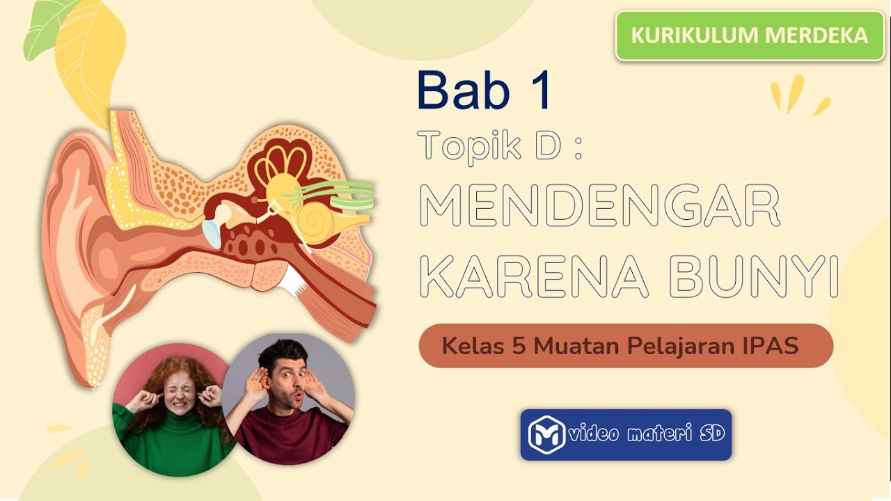 TOPIK D : MENDENGAR KARENA BUNYI | BAB 1 | KELAS 5 SD | MUATAN PELAJARAN IPAS | KURIKULUM MERDEKA