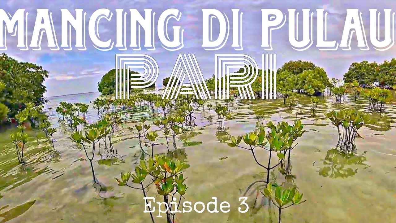 MANCING DI PINGGIRAN PANTAI & MANGROVE PULAU PARI PAKE JORAN REEL LEGEND | EPISODE 3