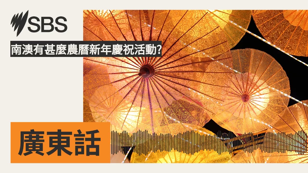 南澳有甚麼農曆新年慶祝活動? | SBS Cantonese - SBS廣東話節目