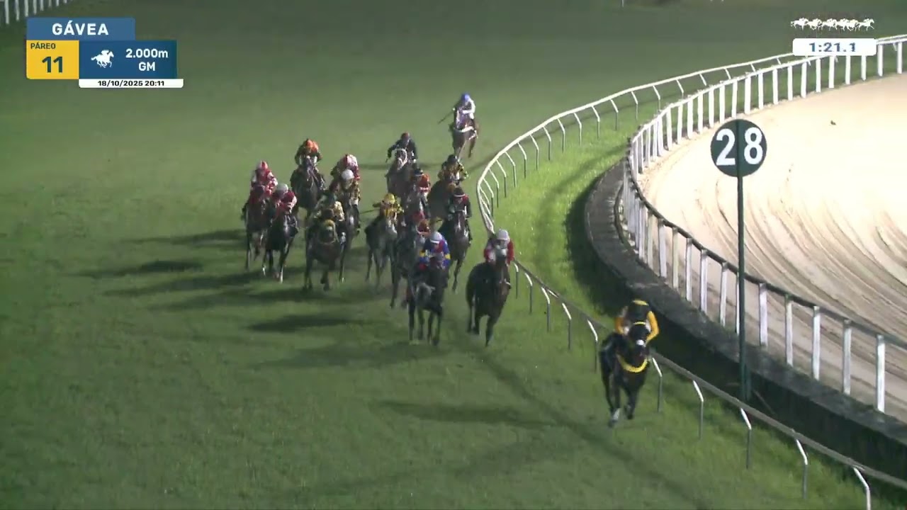 G&aacute;vea 18/10/2025 P&aacute;reo 11