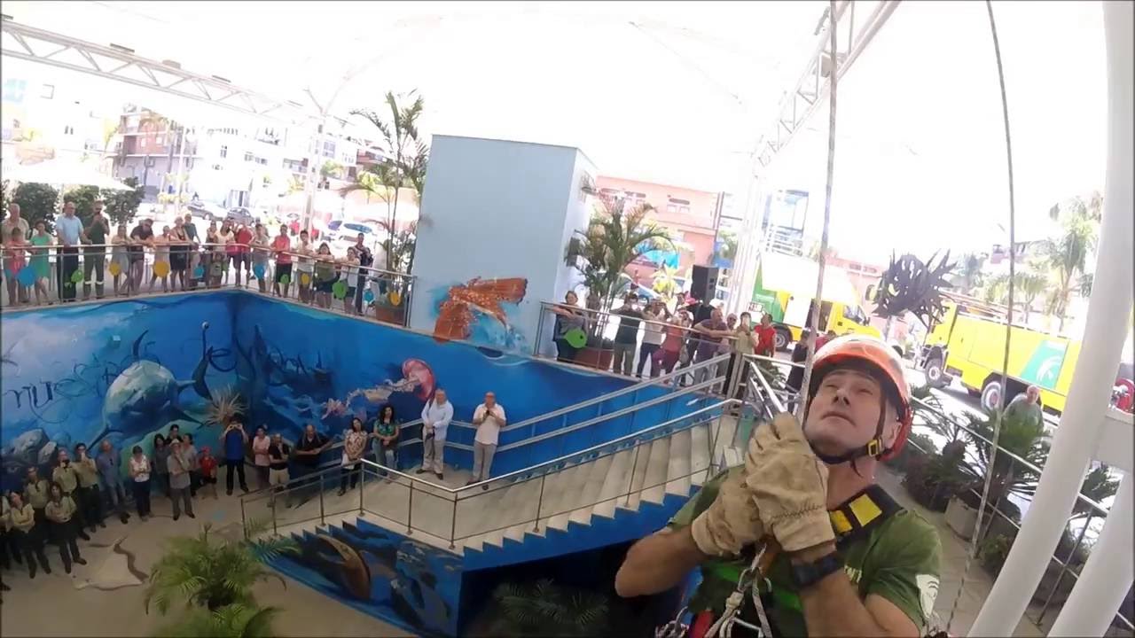 Un rescate en el Acuario