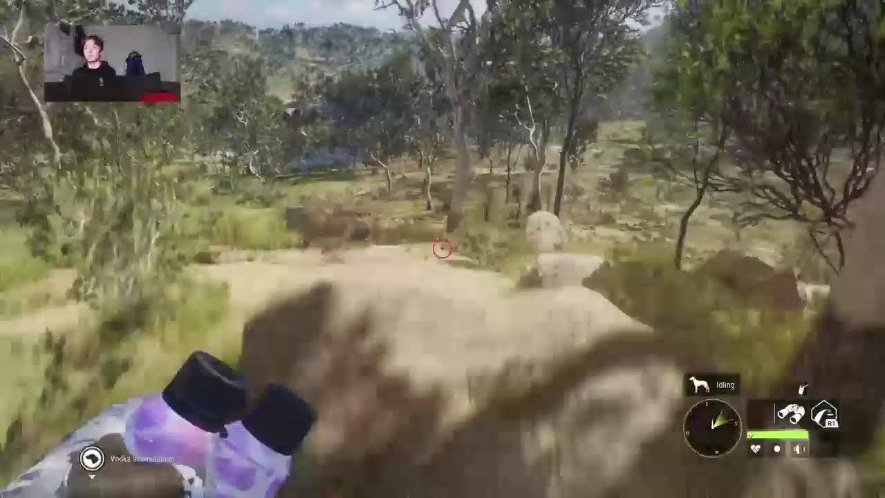The hunter    LIVE