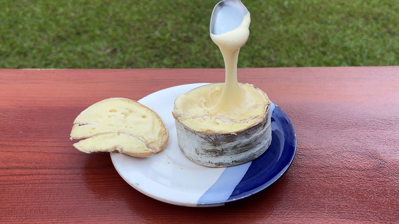 Provei o MELHOR QUEIJO DO MUNDO (Morro Azul Vermont) [2024]