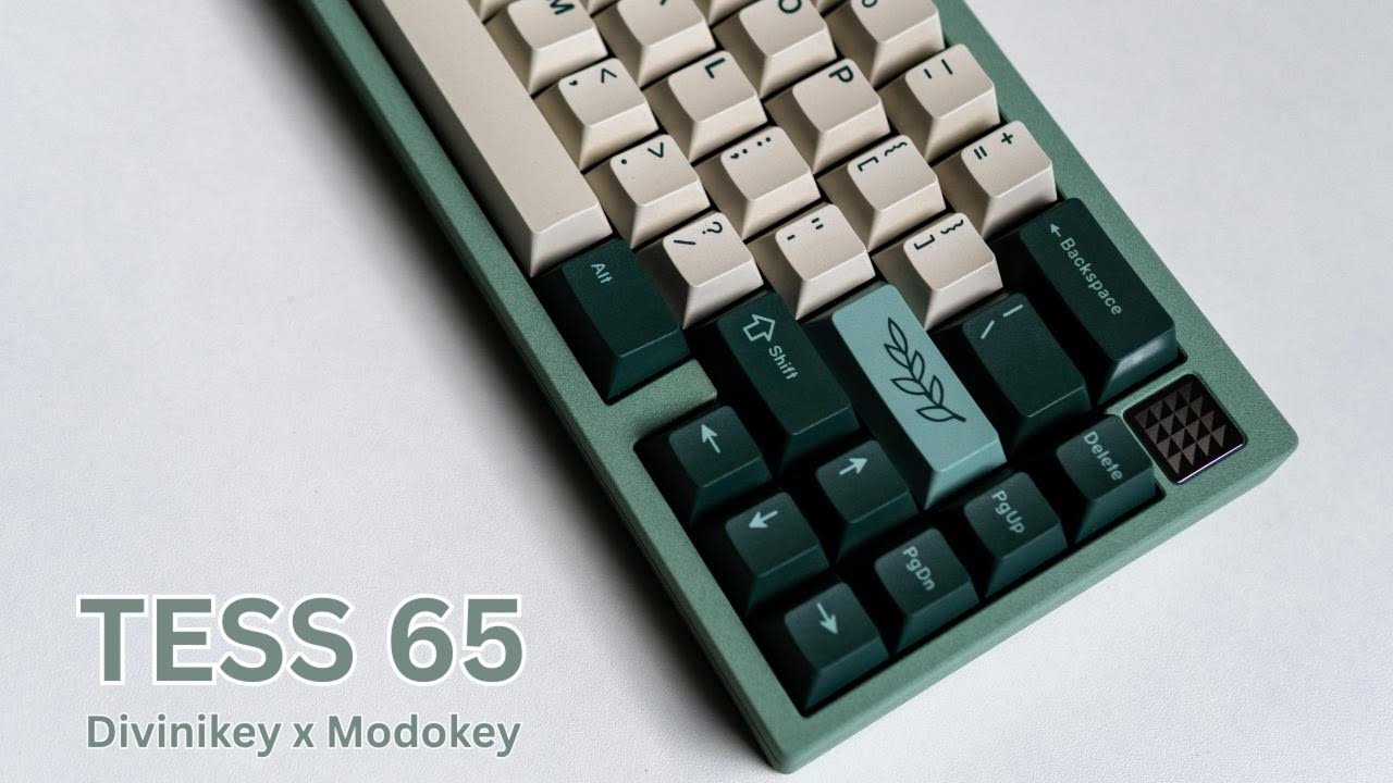 Best Budget Keyboard Under $100? Divinikey x Modokey- Tess 65 (Review+ Sound Test)