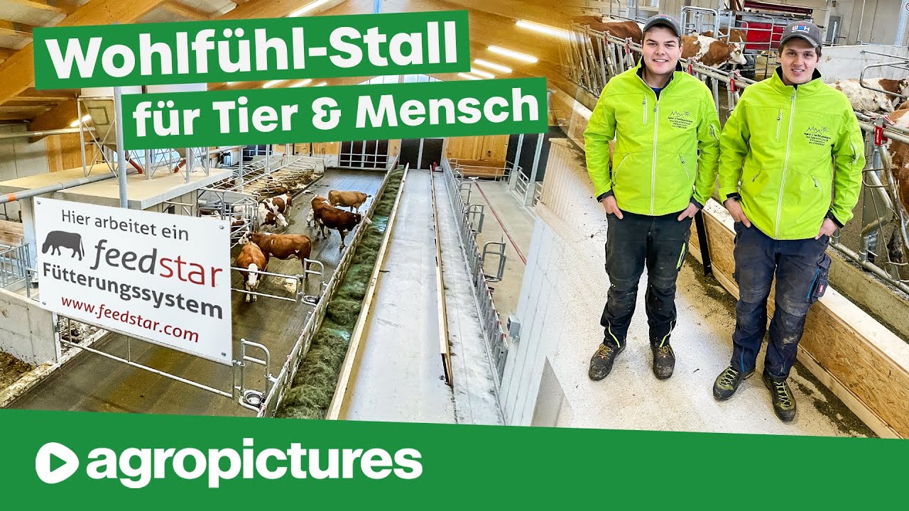 Wohlfühl Stall für Tier & Mensch mit dem Feedstar Futterband von Eder | Bio Heumilch Betrieb Mauser