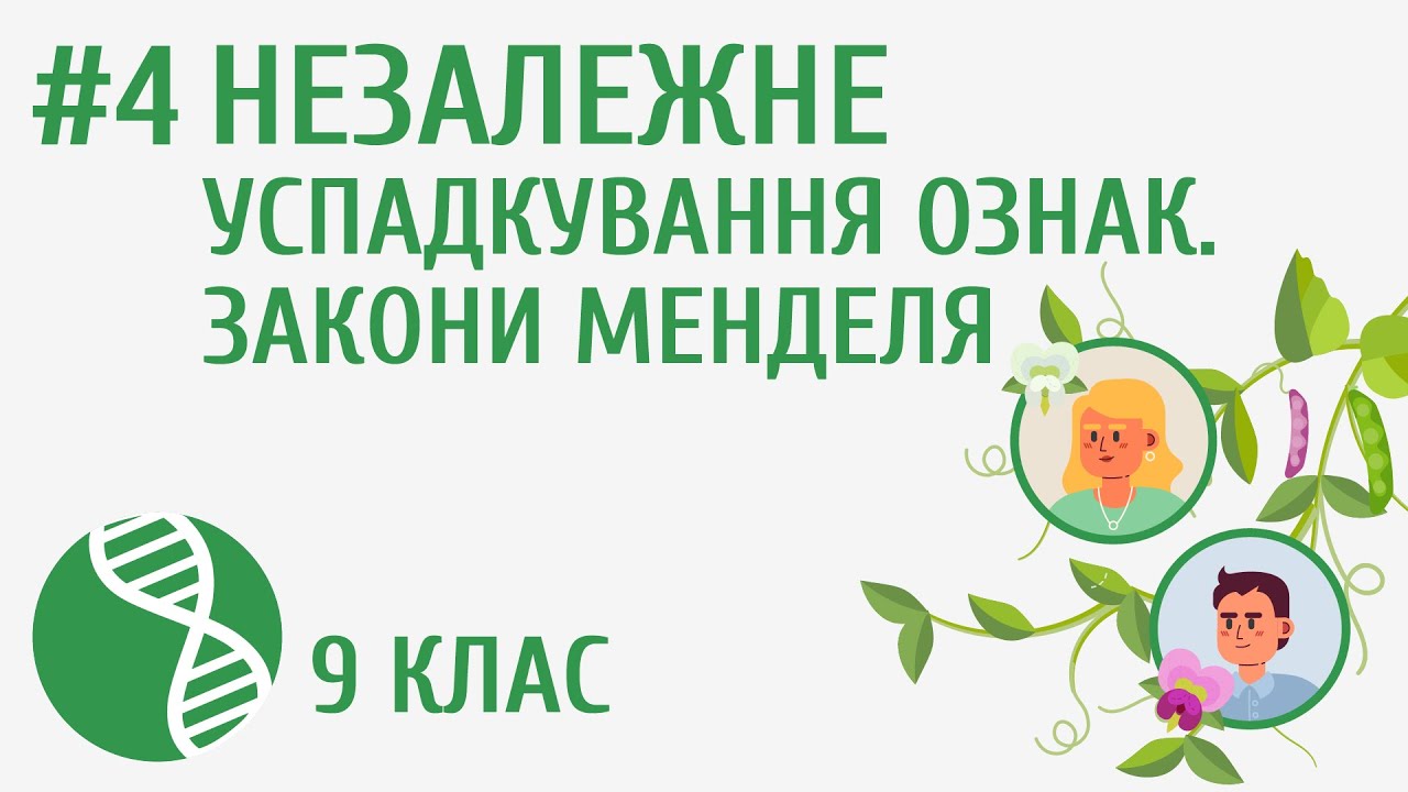 Незалежне успадкування ознак. Закони Менделя #4
