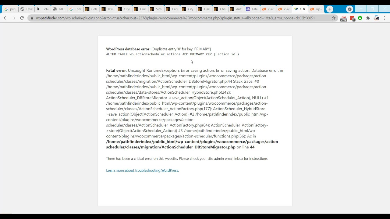 Solve Critical Error When Activating WooCommerce ActionScheduler Database Migration Process Failed