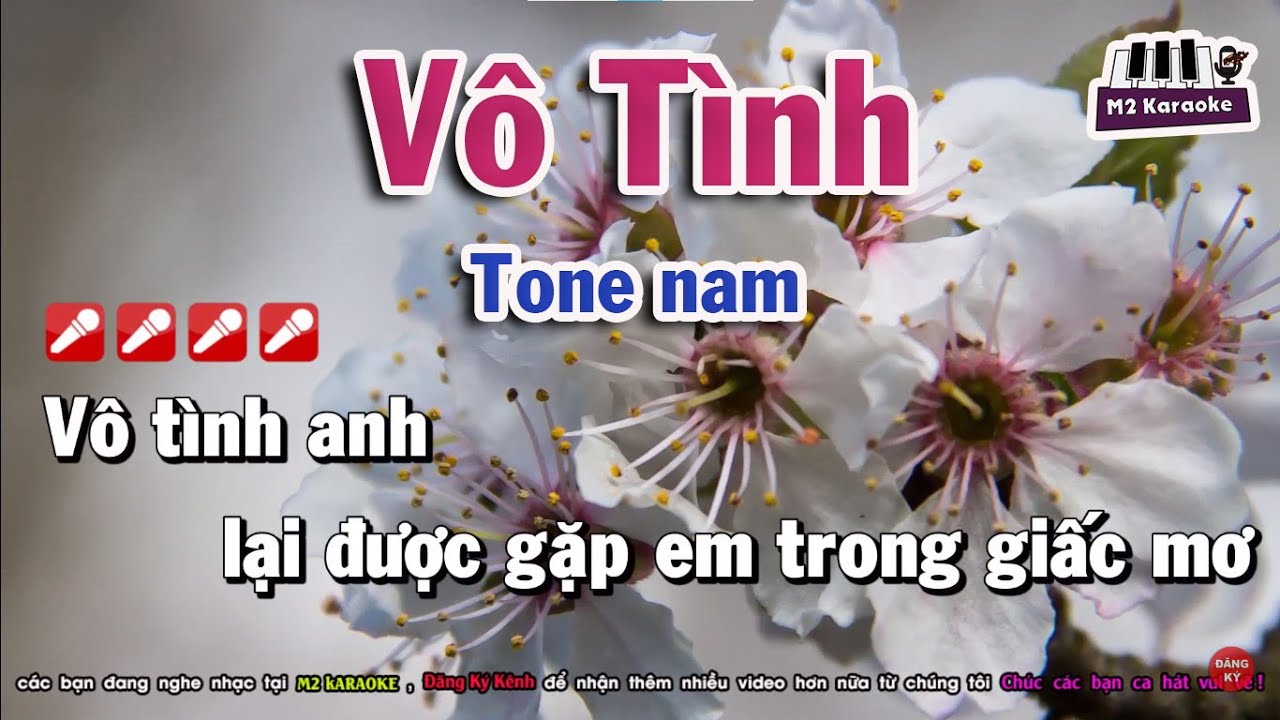 [Karaoke] Vô Tình Lâm Hùng