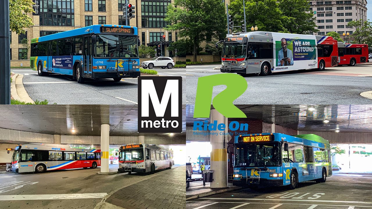 WMATA and Montgomery County Transit Ride-On Bus Compilation at Friendship Heights